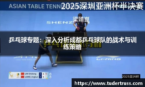 乒乓球专题：深入分析成都乒乓球队的战术与训练策略