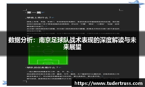 数据分析：南京足球队战术表现的深度解读与未来展望