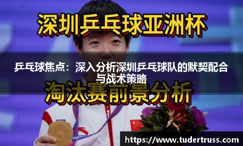 乒乓球焦点：深入分析深圳乒乓球队的默契配合与战术策略