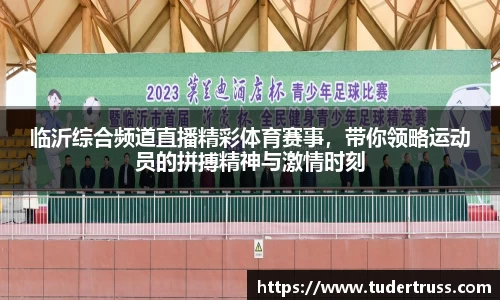 临沂综合频道直播精彩体育赛事，带你领略运动员的拼搏精神与激情时刻