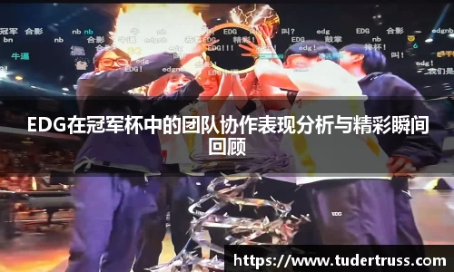 EDG在冠军杯中的团队协作表现分析与精彩瞬间回顾