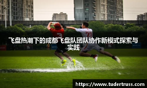 飞盘热潮下的成都飞盘队团队协作新模式探索与实践