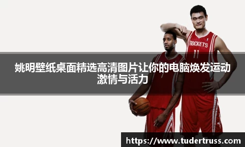 姚明壁纸桌面精选高清图片让你的电脑焕发运动激情与活力